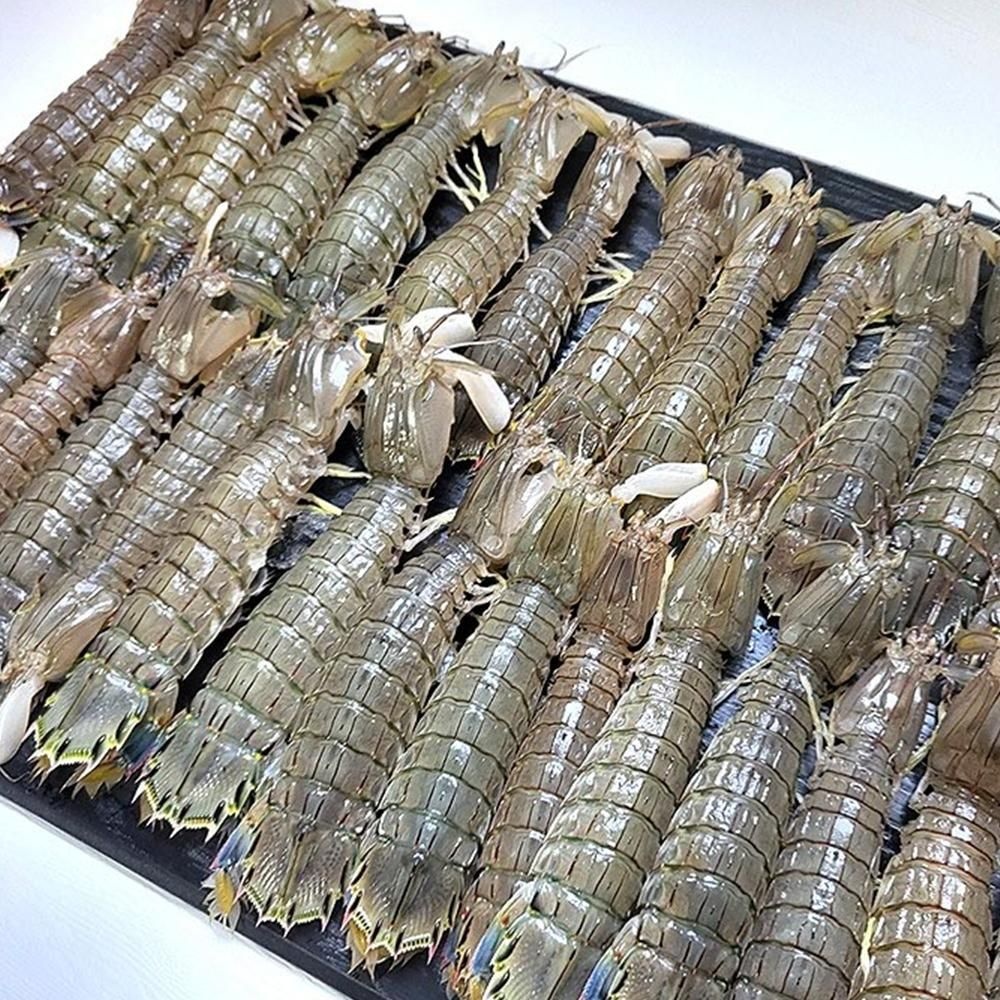 바로온 협력업체 당일조업 생물 활 갯가재 1Kg