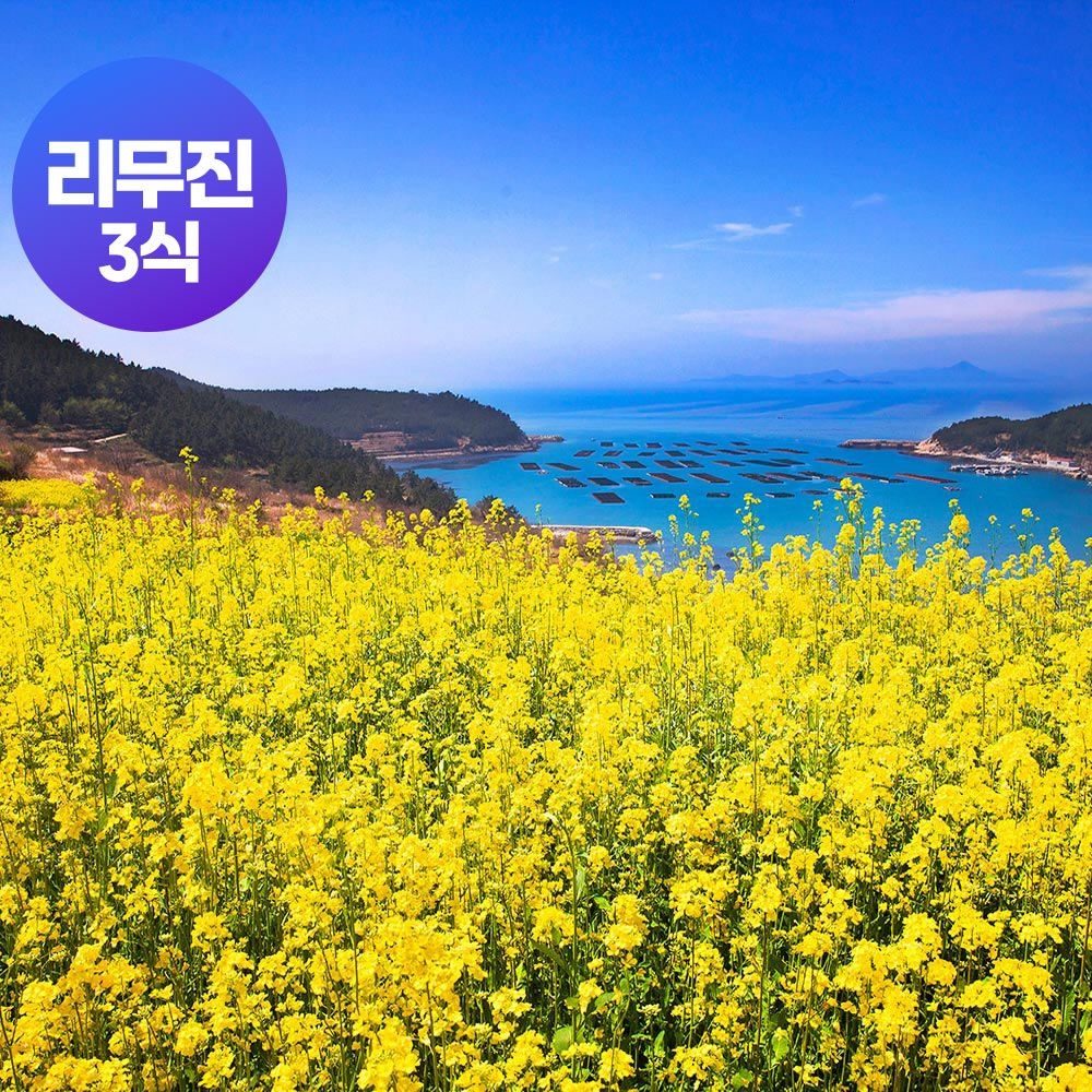 로망스투어 [여행가는달] 청산도+명량해상케이블카+대흥사+운림산방+완도항+완도수목원_청산도진도해남 1박2일