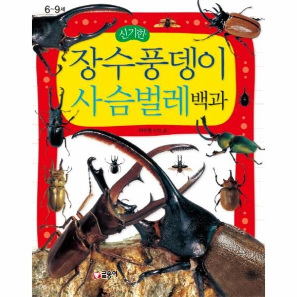 [보리보리]신기한 장수풍뎅이 사슴벌레 백과