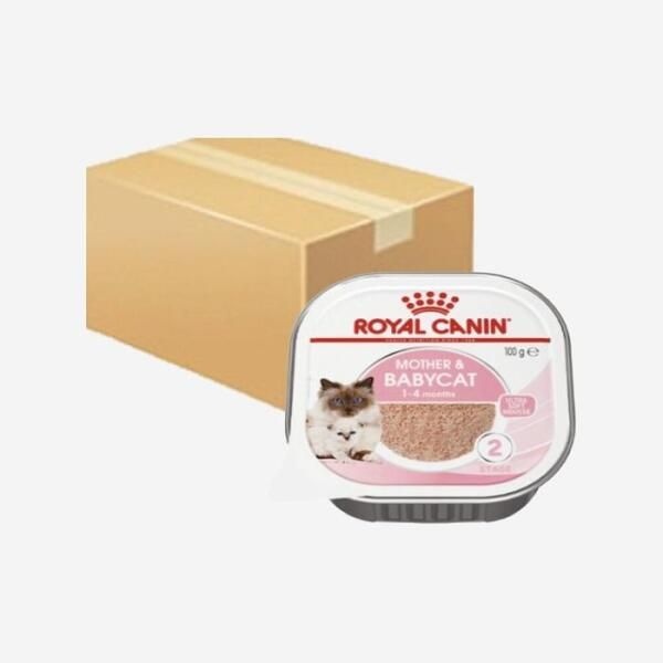 [셀러허브 식품] [엘루맘] 로얄캐닌 마더 앤 베이비캣 소프트 무스 100g 24개