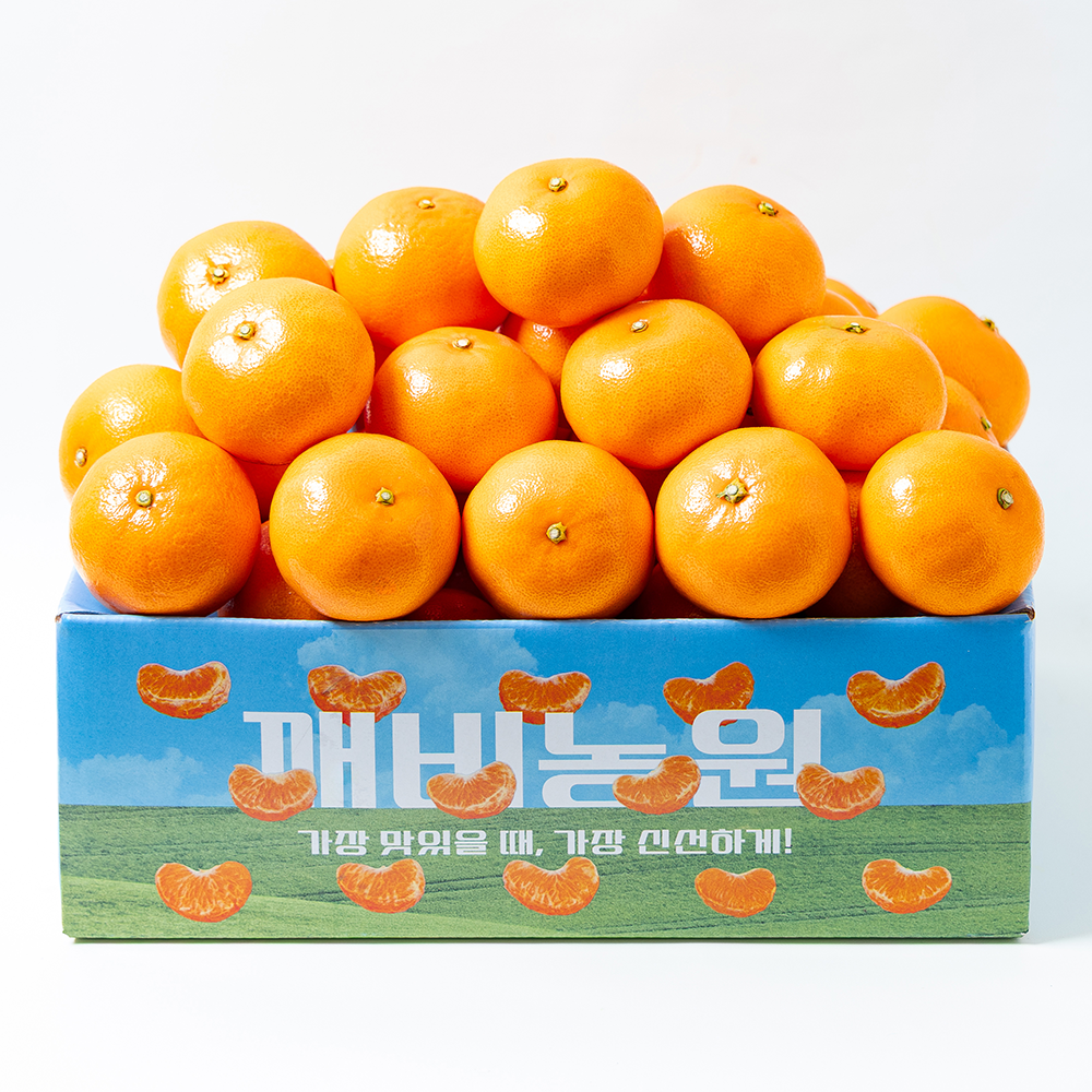 산지직송 깨비농원 제주 천혜향 소과 12Brix 2.5kg 1개