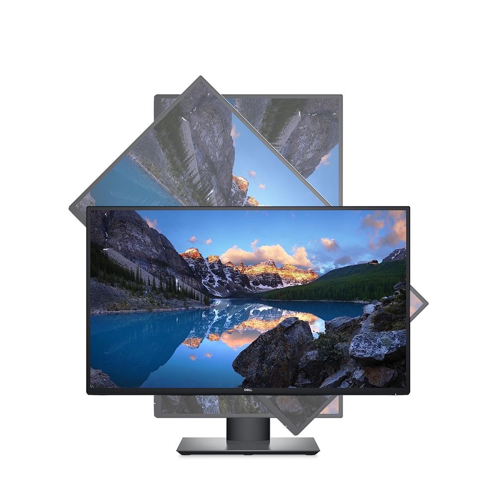 DELL INC. 델 Dell 63.4cm(25인치) QHD IPS USB-C 컴퓨터 사무실 피벗 U2520D