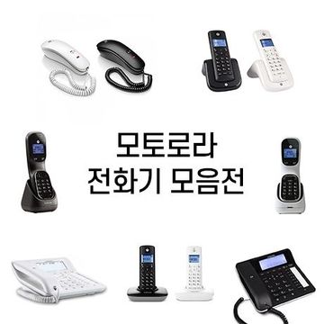 엣지 50 울트라