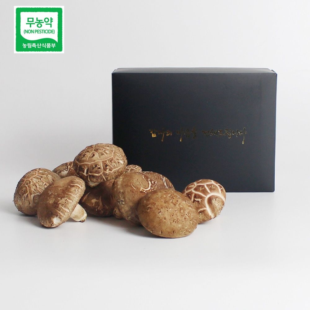 예산청년농부의 무농약 생표고버섯 상품 선물세트 1kg / 2kg 직접재배 무농약표고버섯