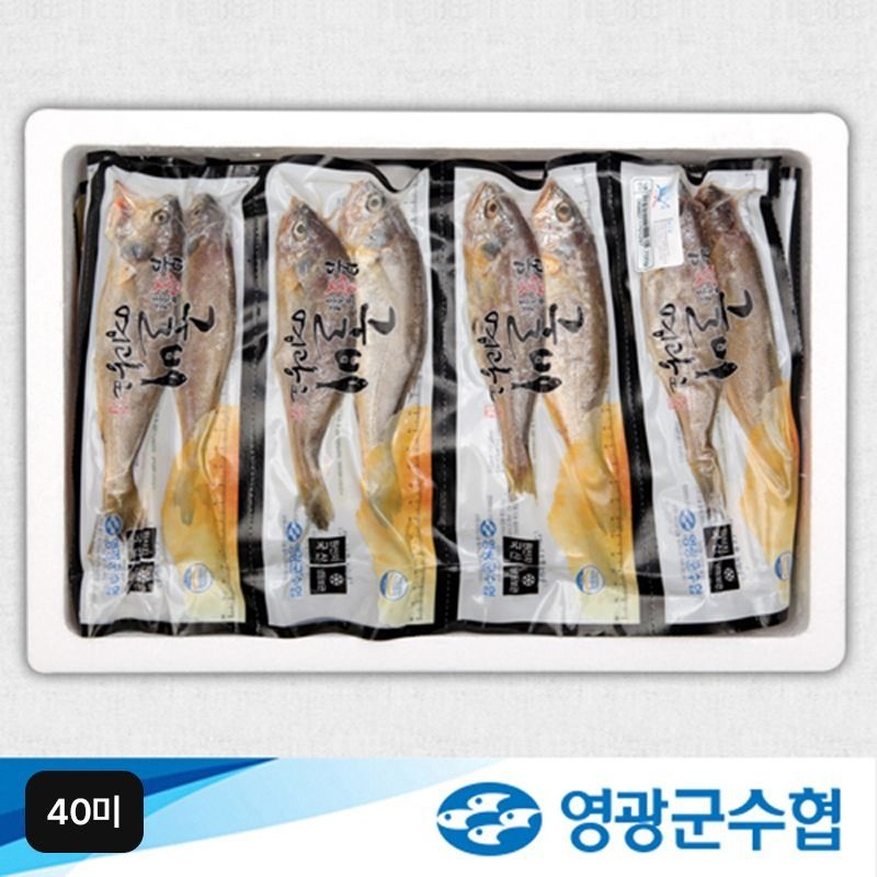 영광군수협 대장대굴비 40미[35277280]