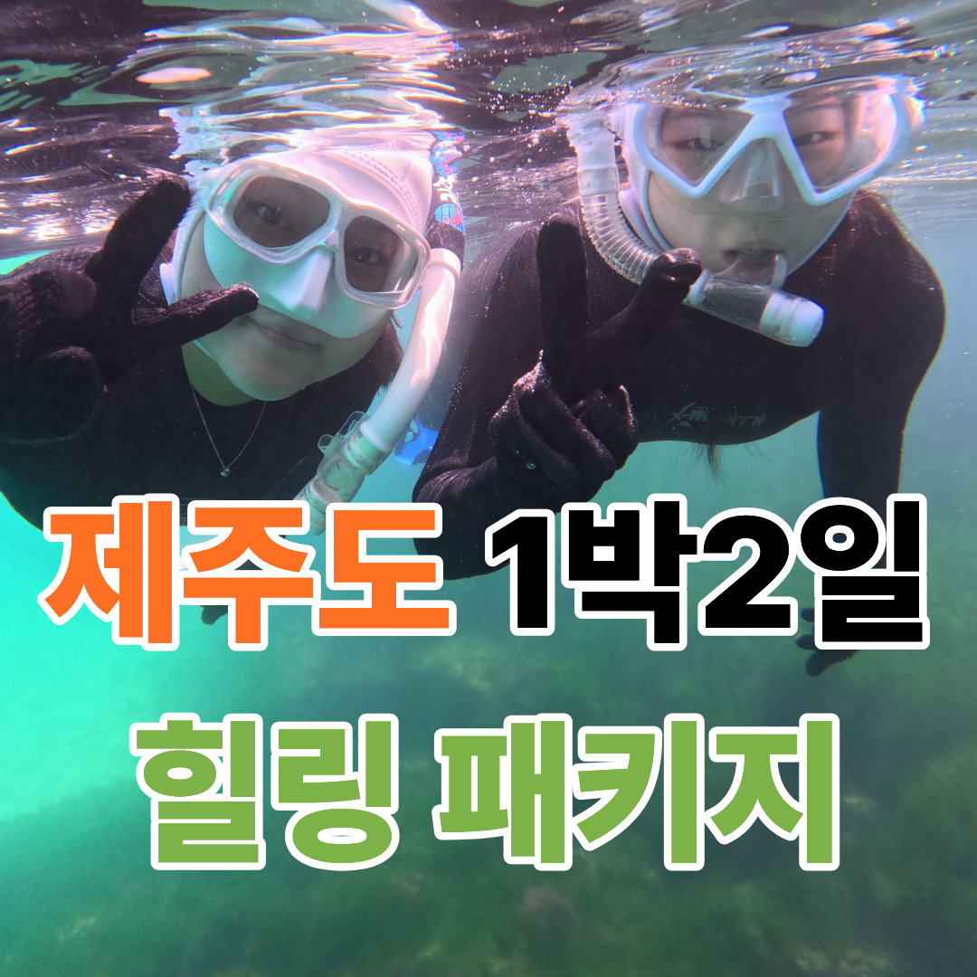[여행가는달] 제주동부 1박2일 힐링패키지/해녀박물관+해양레저강습(택1)+플로깅(봉사활동)+4성급숙소+에코랜드