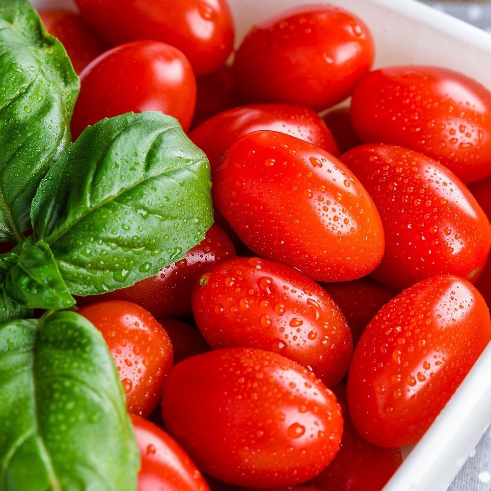 [온누리7%혜택]자은찬 스테비아 대추방울토마토 1kg 2kg (2~3번) (1kg (500g x2))