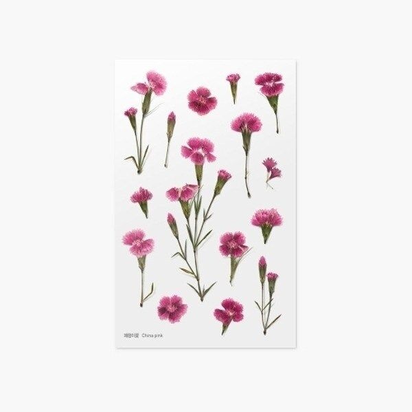 [VCL40457]압화스티커패랭이꽃 문구 사무용품 학용품21871710643542