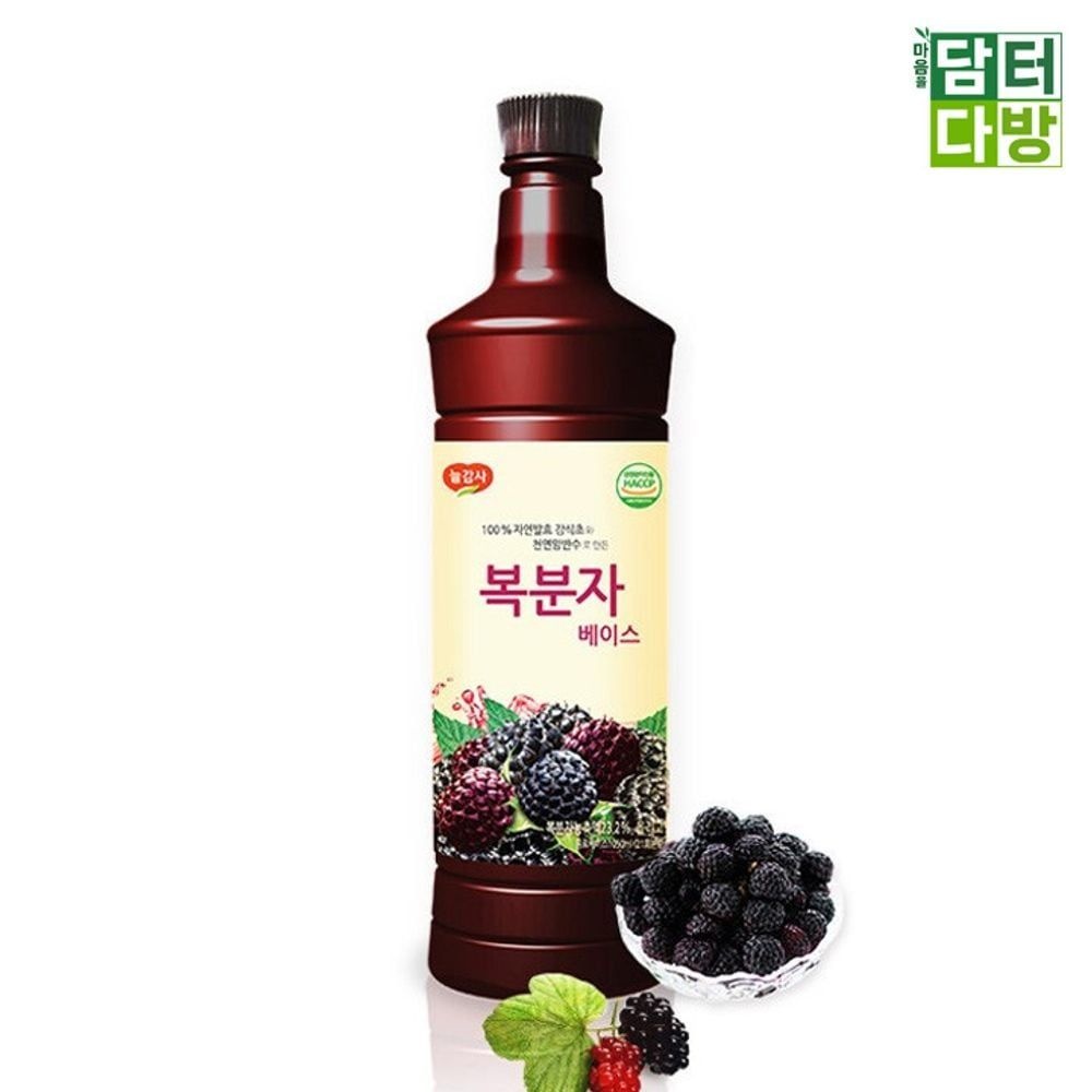 광야식품 복분자 베이스 970ml X2