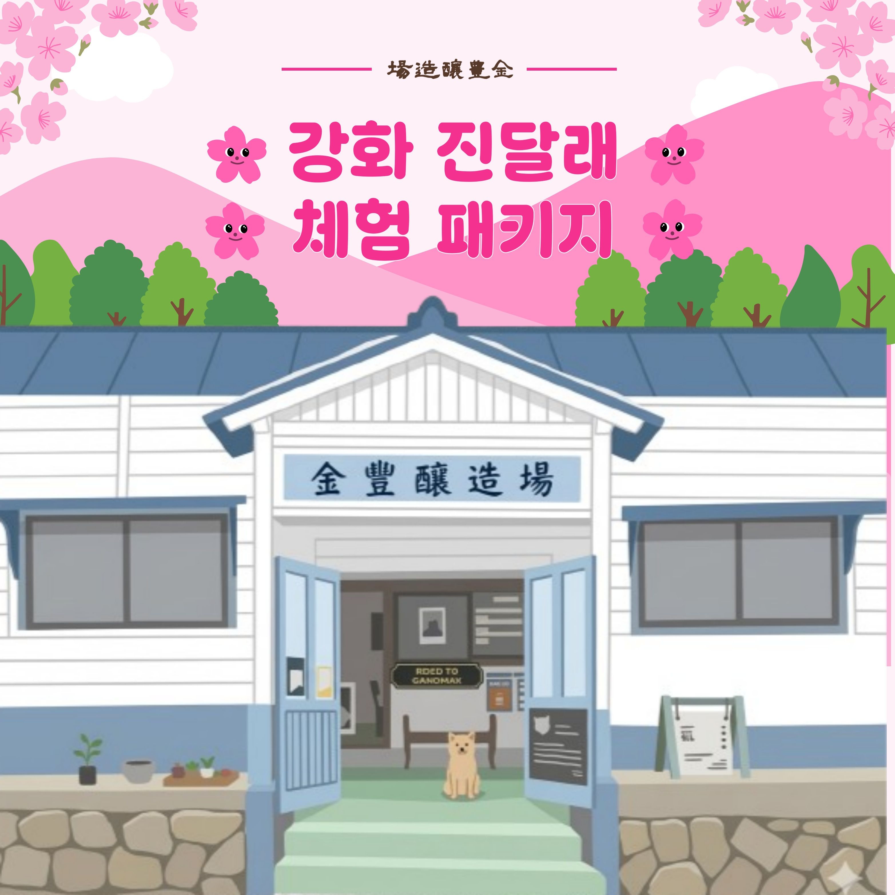 [롯데온] 강화도 봄 여행 진달래 막걸리 체험 (26,040원/무료)