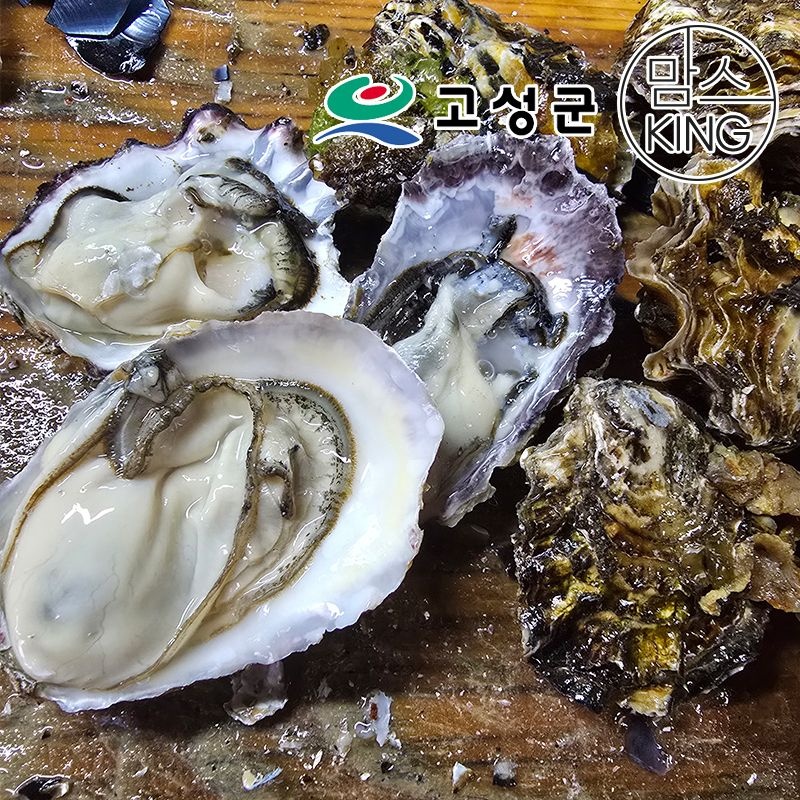 [공룡나라]동성수산 경남 고성 자연산 생굴 1kg / 경남 고성