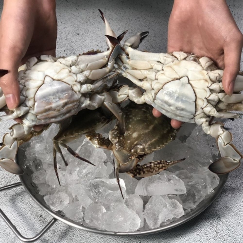 홍쁘로식품 양념게장용  제철해산물 산지직송 서해안 활 암꽃게 1KG 알배기 제철 생물