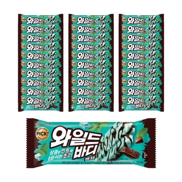 와일드바디 민트초코 x30개