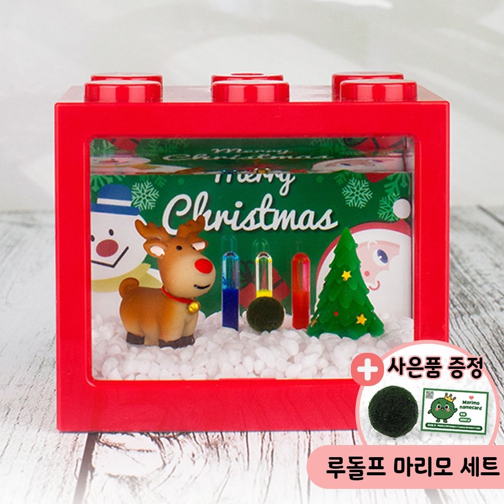 루돌프 마리모 키우기 세트 블럭어항 LED등 마리모밥