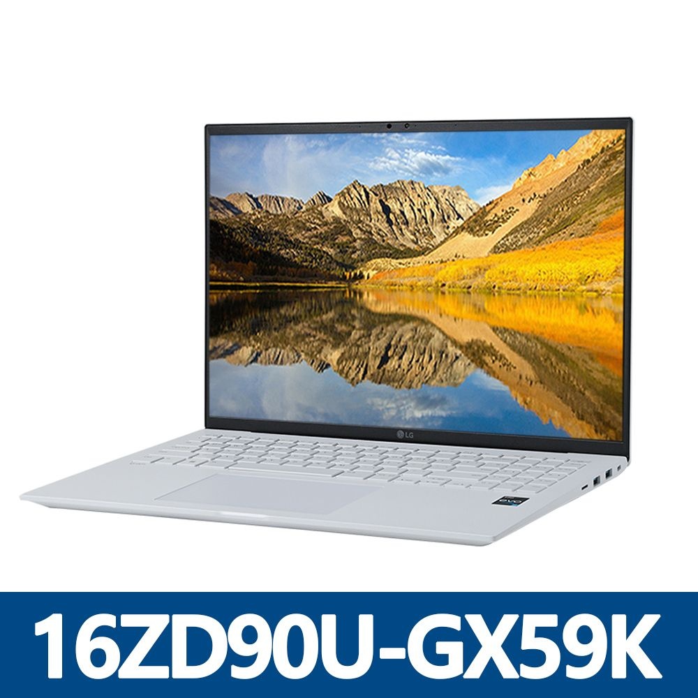 LG전자 그램 프로16 16ZD90U-GX59K