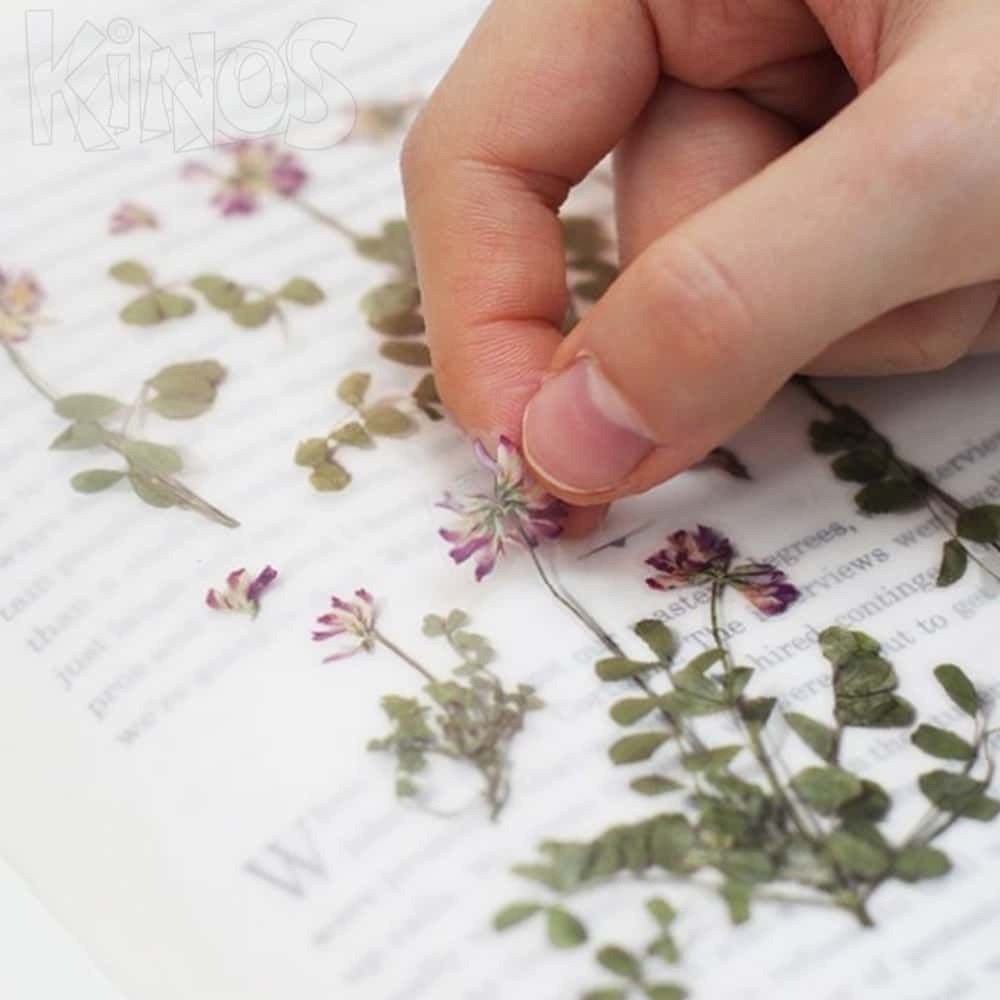 ELARIS 자운영 압화 스티커 다꾸스티커북 다이어리데코용품 다이어리꾸미기스티커