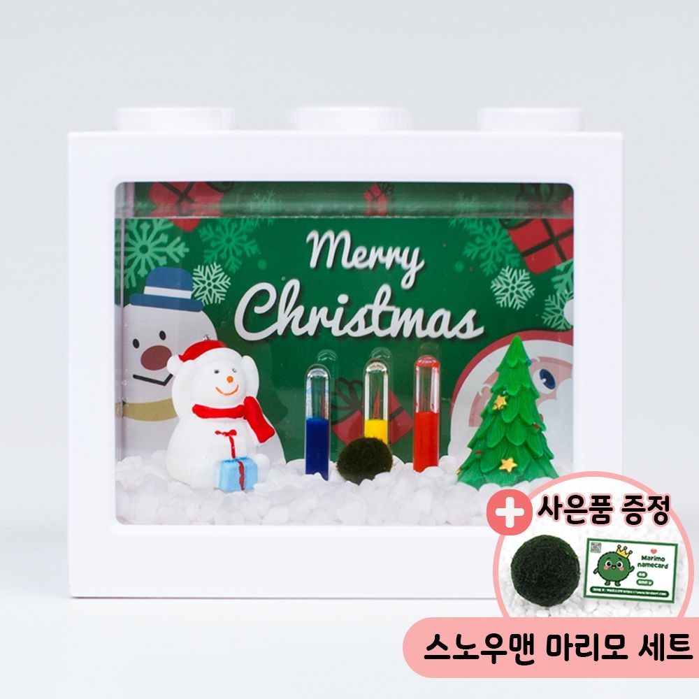 스노우맨 겨울장식 마리모 키우기 세트 마리모포함