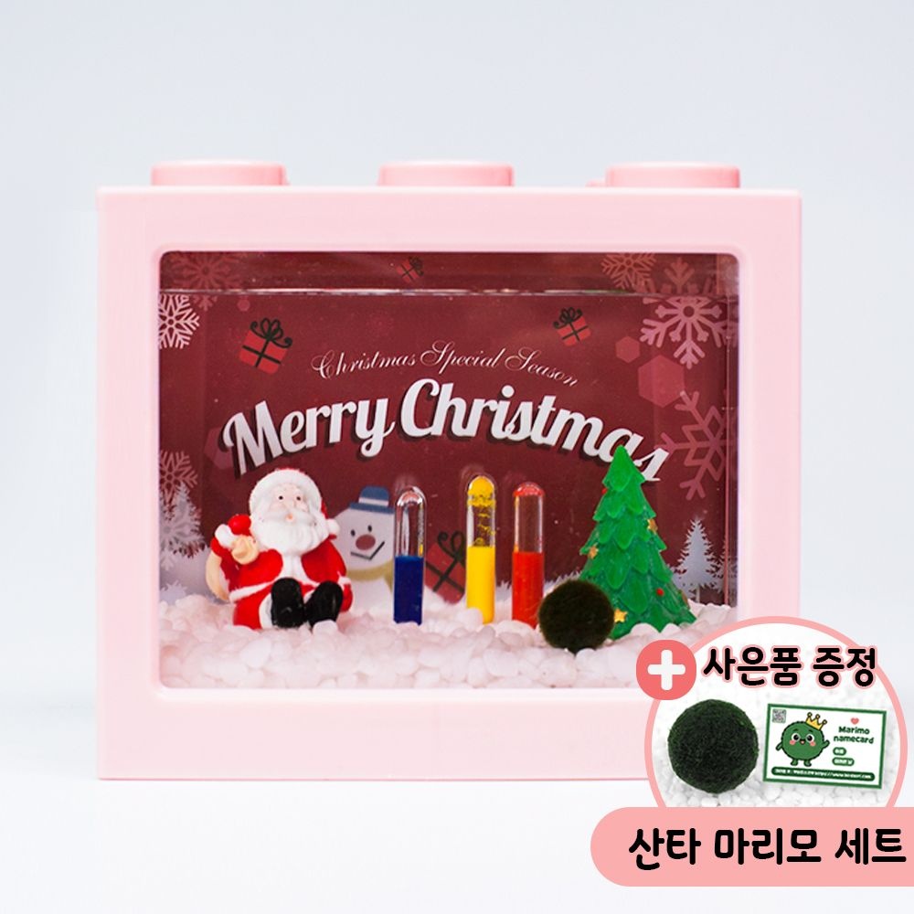 산타 겨울장식 마리모 키우기 세트 마리모포함