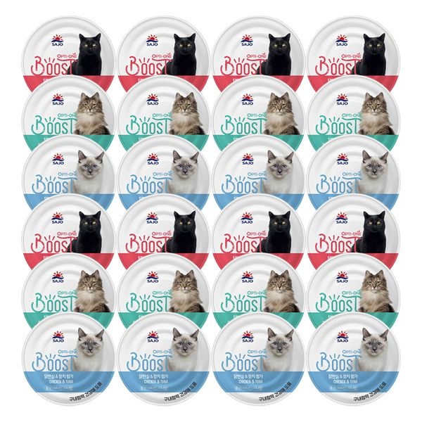 옵티원 부스트 캔 160g x 24개