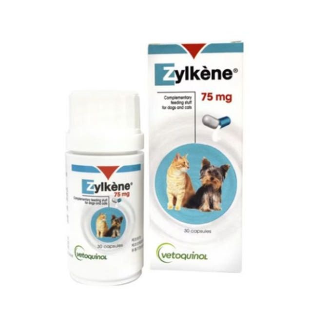 강아지 불안증세 멀미 스트레스 진정제