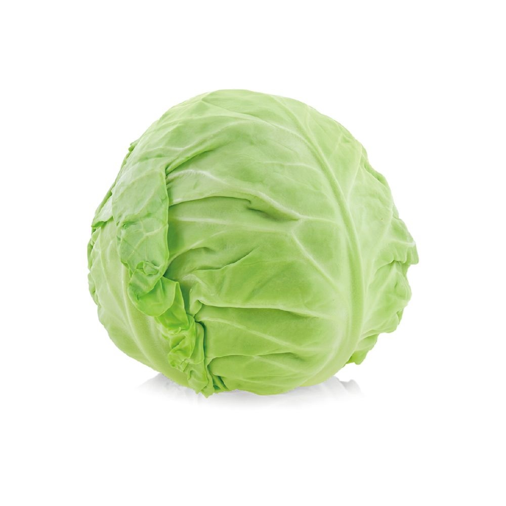 박형배 국내산 양배추 2kg