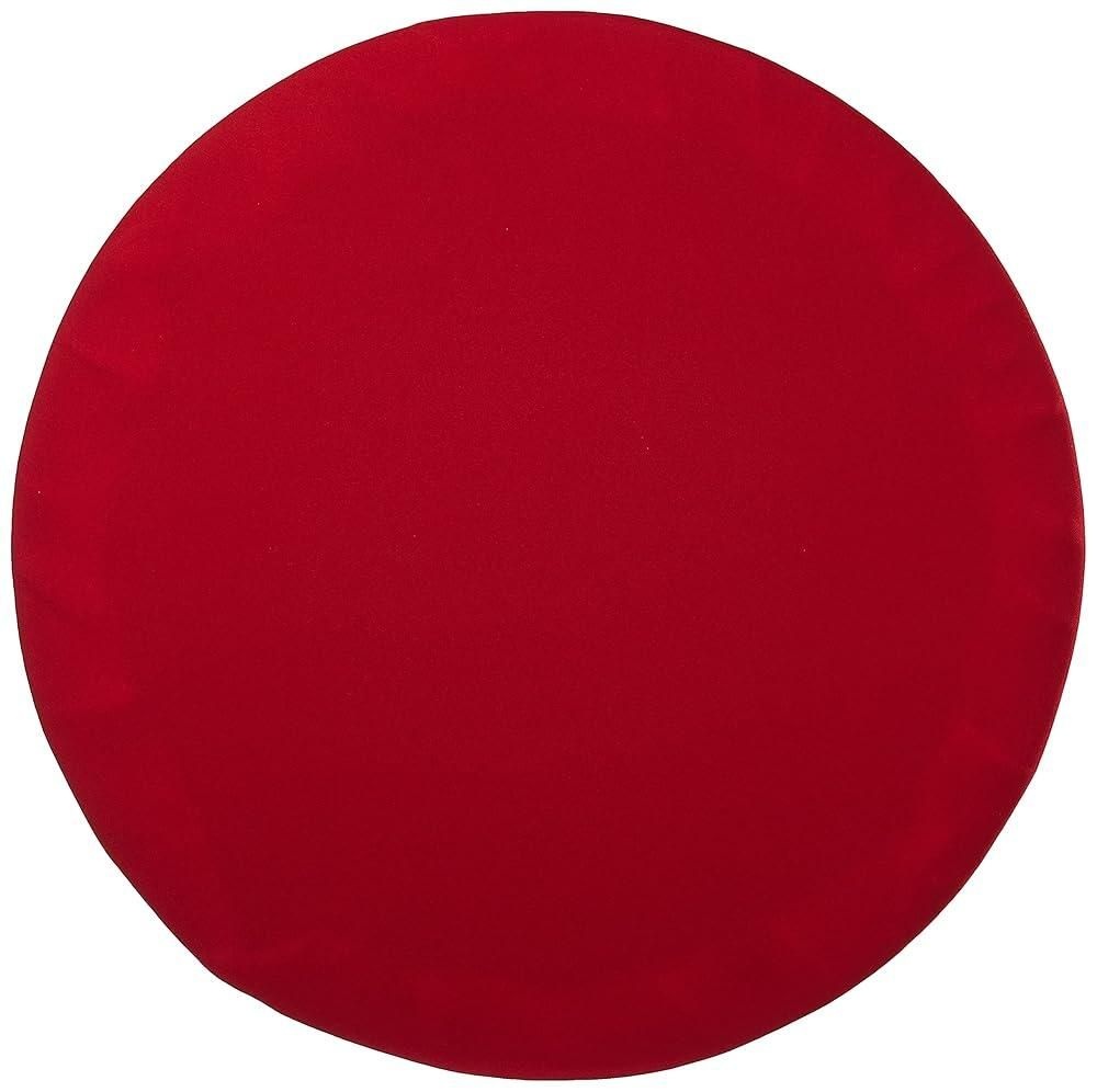 뱅앤올룹슨 [해외] Bang & Olufsen B&O PLAY 베오플레이 A9 뮤직 시스템 홈 스피커 액서리 커버 레드 [호환]