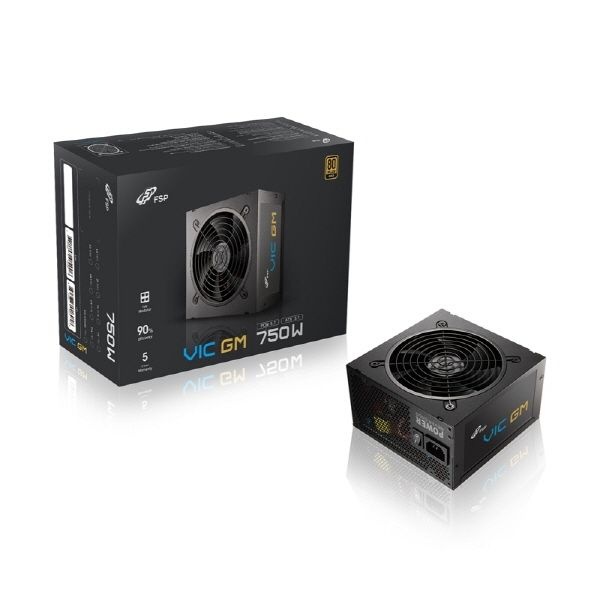 FSP VIC GM 750W 80PLUS골드 풀모듈러 ATX 3.1