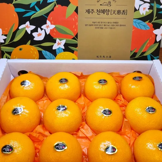 고당도 제주 천혜향