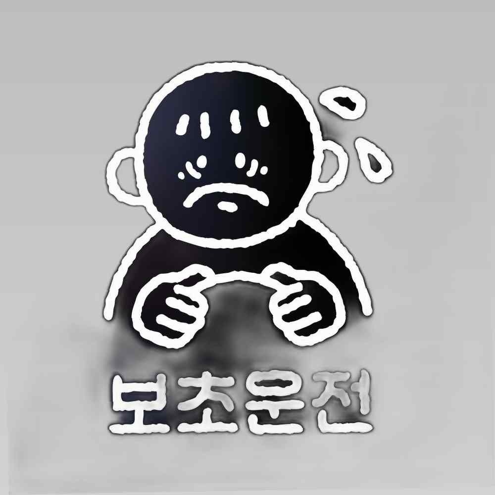 우아한 달팽이 재미있는 초보운전 자동차스티커 보초 스티커 자동차꾸미기 차량용스티커 차량꾸미기