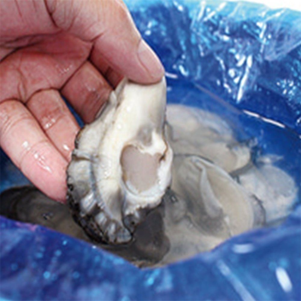 유쎌몰협력사 유쎌몰 통영 생굴 2KG 세척굴 통영수산물