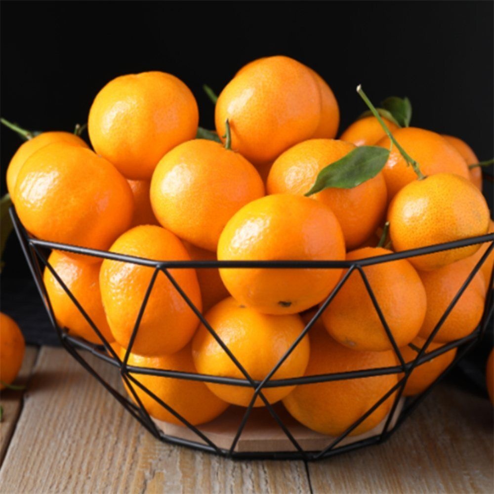 유쎌몰 가정용 조생 감귤 중과 M-L 10KG 제주밀감 제주맛좋은감귤