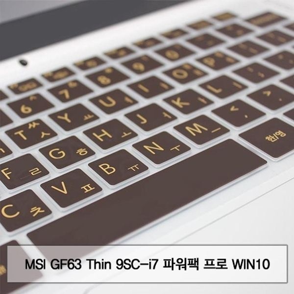 MSI GF63 Thin 9SC-i7 파워팩 프로 말싸미키스킨
