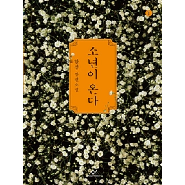 한강 소년이 온다 한강 (711838)