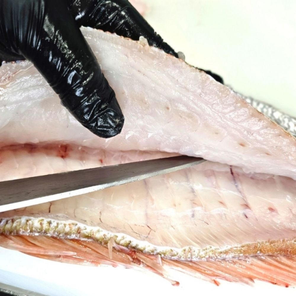 홍쁘로식품 저칼로리식단  맛있는회 자연산 순살 참돔회필렛 구이용 횟감용 200G 손질 도미
