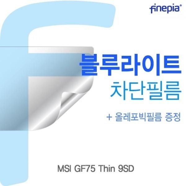 MSI GF75 Thin 9SD Bluelight Cut필름