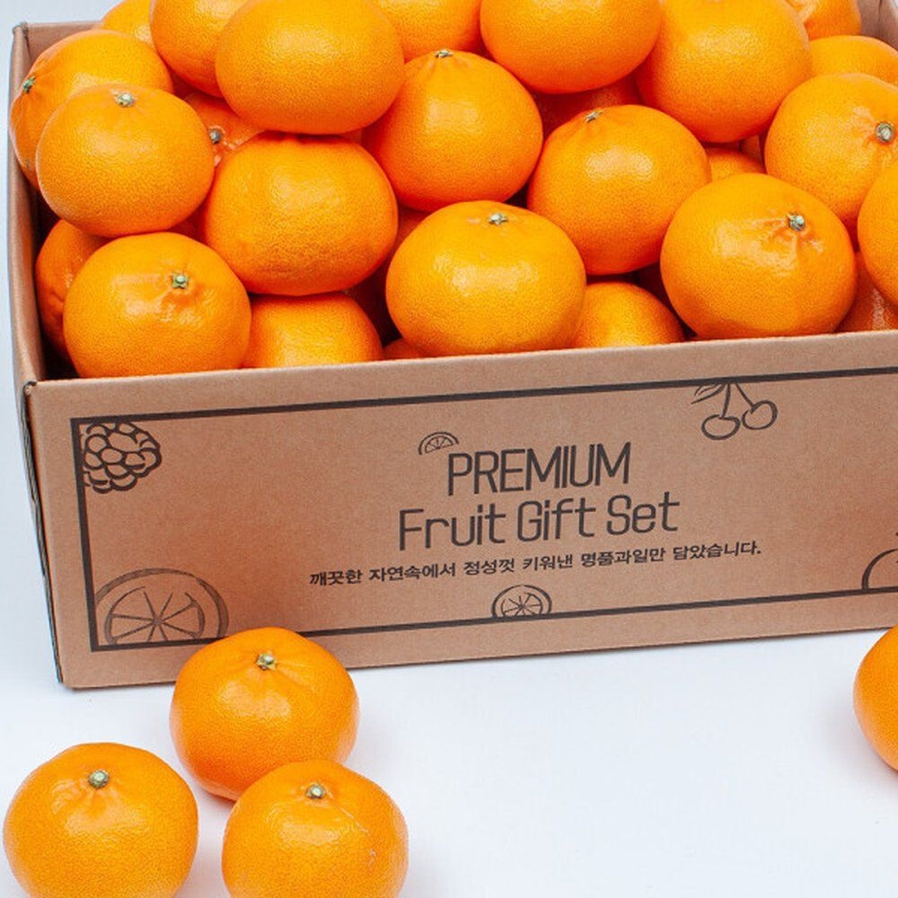 제주 천혜향 5kg 10kg 못난이