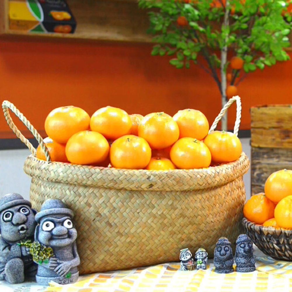 산지직송 제주 못난이 천혜향 5kg 사이즈 랜덤 가정용 제주연가