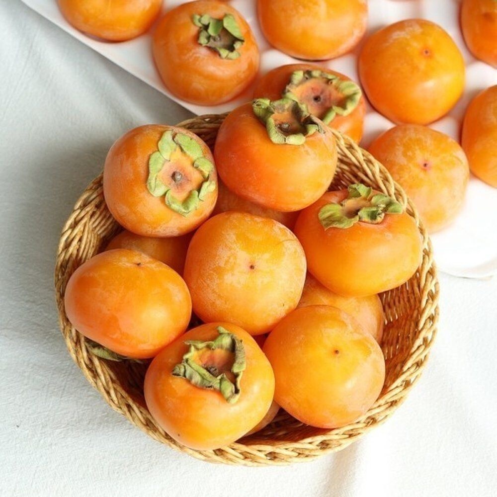 고당도 씨없는 홍시 산지직송 청도반시 5kg (대과)