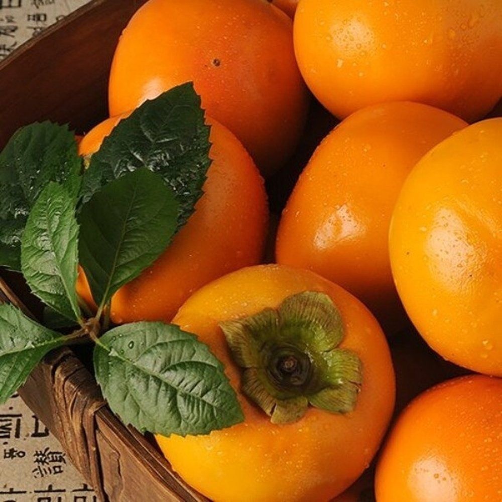 달콤한 경남 단감 10kg(51-60과)