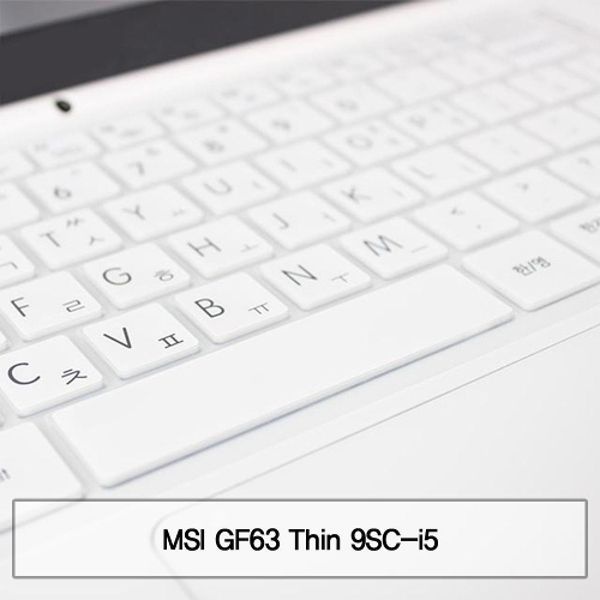 MSI GF63 Thin 9SC-i5 말싸미키스킨