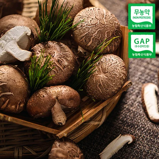 [APP 전용]가성비 특가 국내산 친환경 무농약 GAP 생 표고버섯 1kg 