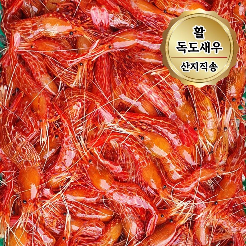 당일조업 동해안 활 독도새우 꽃새우 도화새우 혼합 1kg (40~60미)