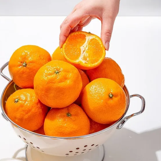 [미식한가] 제주직송 서귀포 카라향 실중량 3kg 로얄과