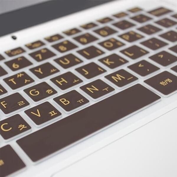 아트박스/파인피아 LG 2020 그램17 17ZD90N-VX7BK용 말싸미키스킨