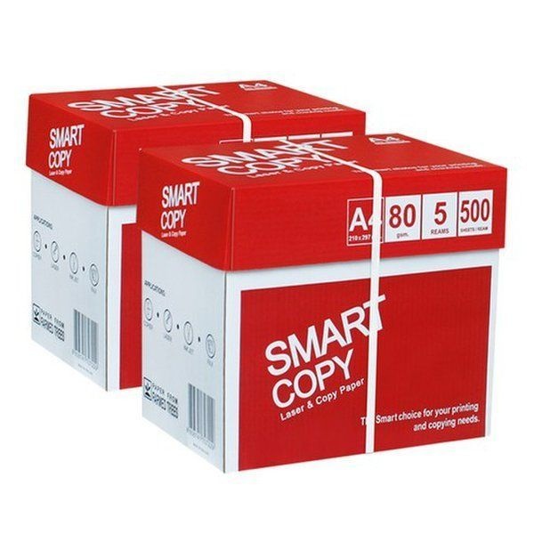 더블에이 스마트카피 A4 복사용지 80g 2박스 5000매 프린트 사무용지 에이포 더블A(Double A)110249