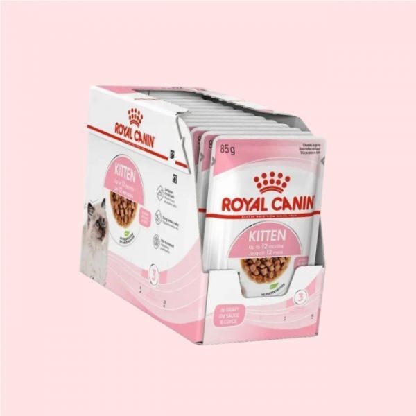 로얄캐닌 캣파우치 파우치백 가방 키튼 85g 1박스(12개) 4695592