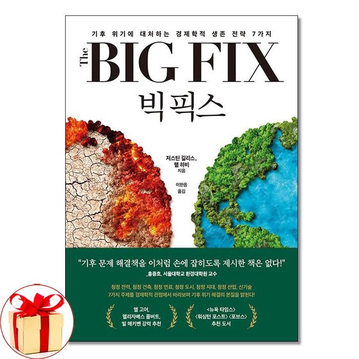 빅 픽스 -기후 위기에 대처하는 경제학적 생존 전략 7가지 (알레)