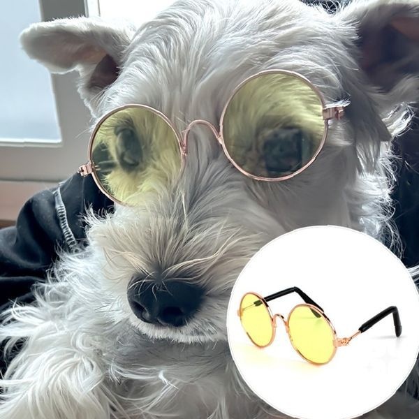 필우커머스 반려동물 고양이 애완동물 노란렌즈 촬영소품 펫액세서리 안경 패션아이템