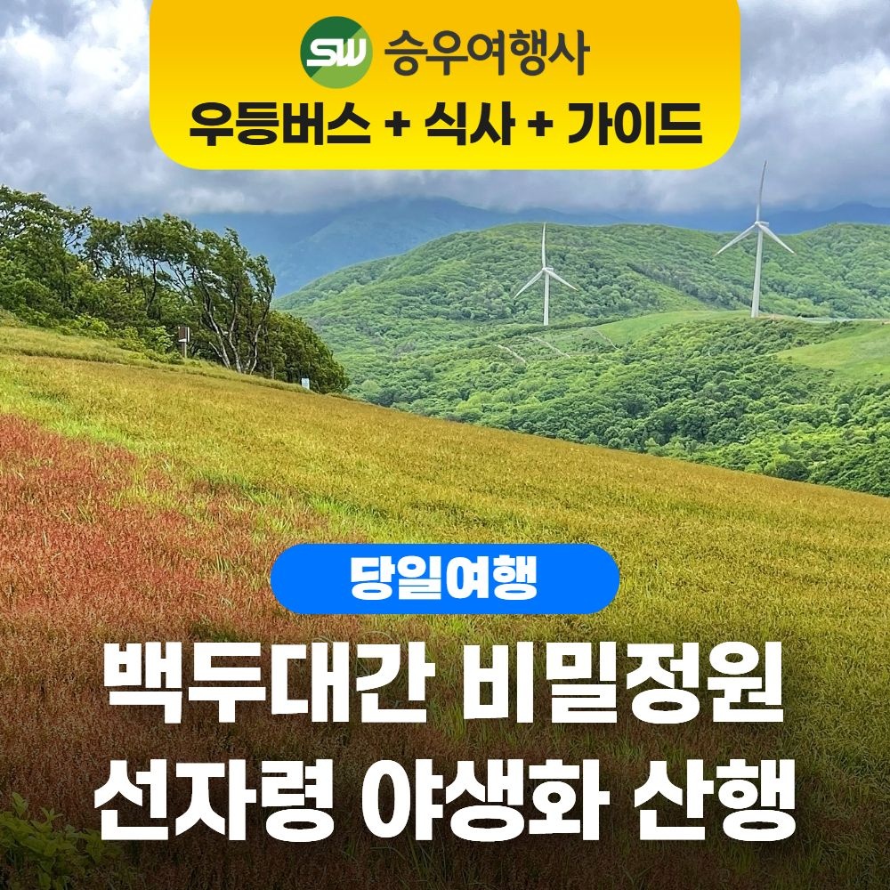[여행가는달] (당일) 평창의 알프스 : 백두대간 선자령 야생화 /산채백반/교통/식사/가이드/간식 포함