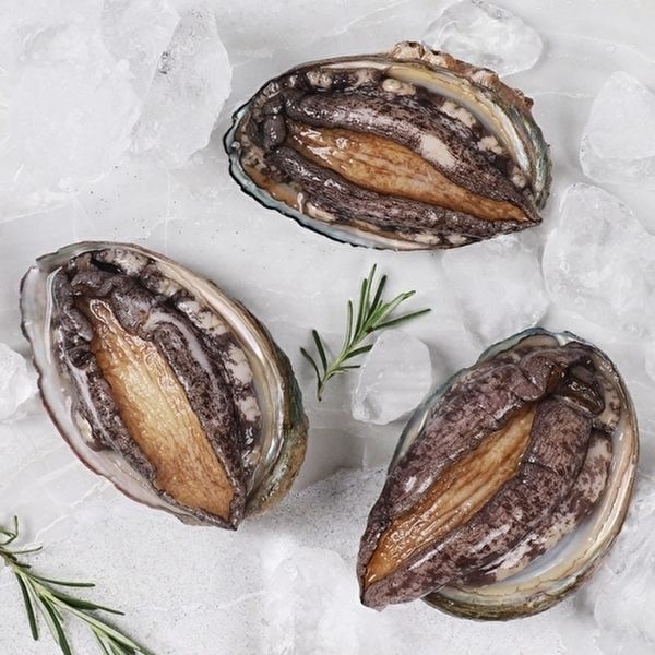 [행사특가][산지직송] 완도 활전복 500g(8-9미) 산소포장